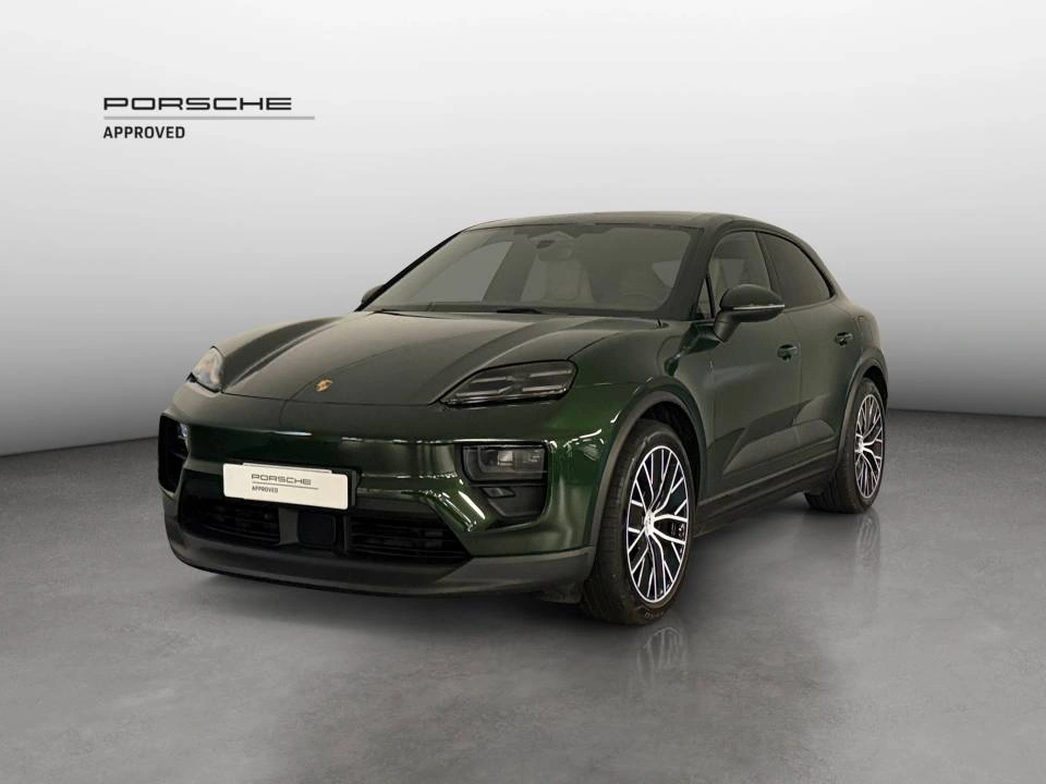 Macan